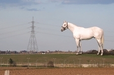 ebbsfleet_horse_ld.jpg