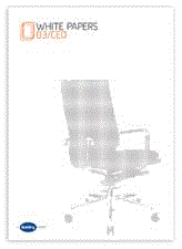 CEO White Paper