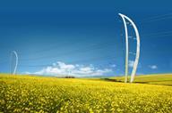 Plexus pylon