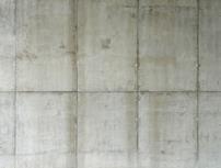 /x/a/j/ConcreteNew0017_L.jpg