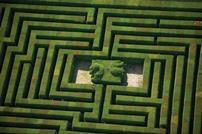 Maze