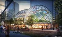amazon8