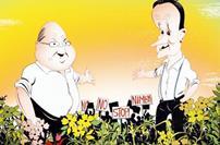 Localism cartoon
