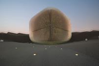 Heatherwick Wonder