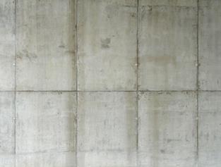 /x/a/j/ConcreteNew0017_L.jpg