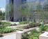 One of two internal courtyards at Discovery Place office development, Farnborough, designed by Whitelaw+ Turkington and with Goddards as landscape contractor and Wates Construction as the main contractor