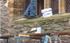 Repointing a church in historic fashion
