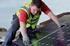 Redland on-top solar PV panels