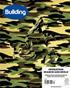 Building Issue 17