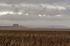 Hinkley nuclear power station