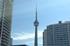 View from my office, Adam Muggleton