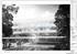 Apple 'Campus 2'