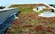 Green roof