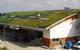 Greenfix in action, adding a green roof to Adnam’s Suffolk brewery in 2006