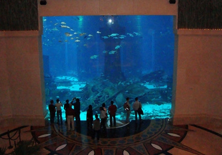 Atlantis aquarium Dubai